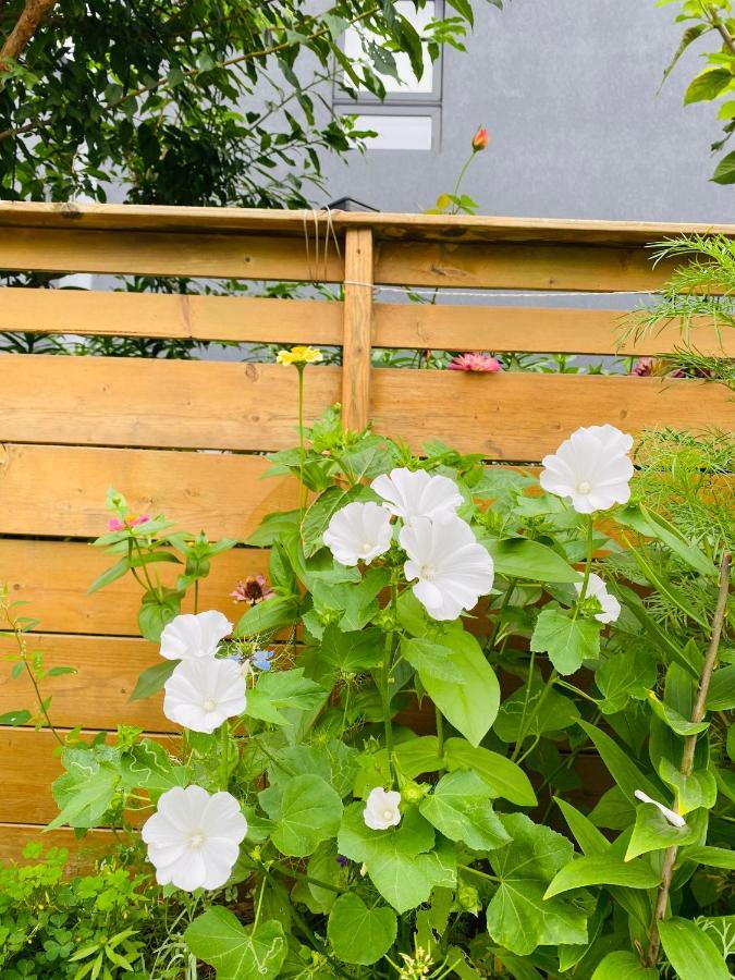 Lovely II Space Share A Room East York Canada Торонто Екстериор снимка